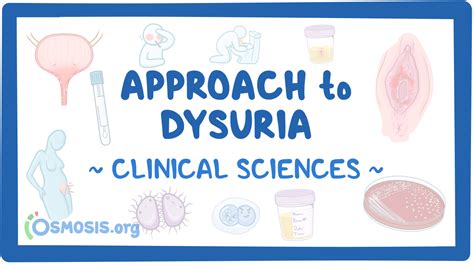 Approach To Dysuria Clinical Sciences Osmosis Video Library