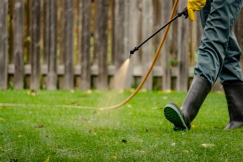 Why Should You Choose All Natural Lawn Care Hometurf