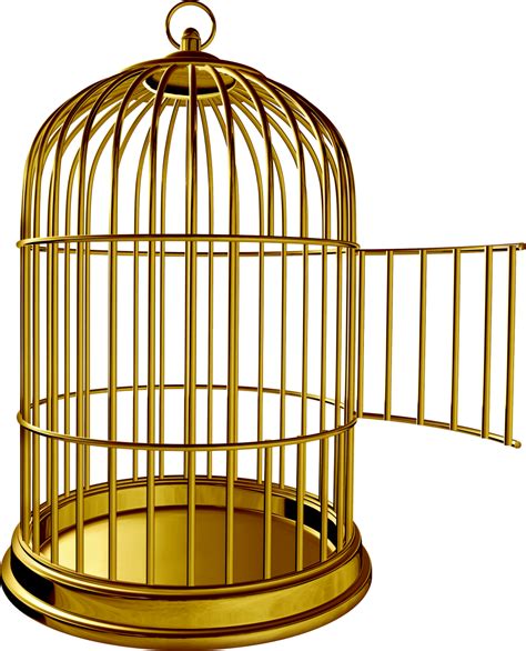 Golden Bird Cage Png Image Purepng Free Transparent Cc0 Png Image