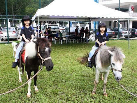 Shopee malaysia is a leading online shopping site based in malaysia that. Petting Zoo Malaysia | Pony Ride Services Malaysia