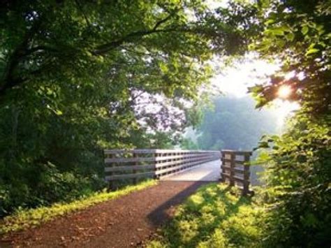 Today, the trail corridor lies half on federal land managed. Virginia Creeper Trail - Abingdon VA to Whitetop VA # ...