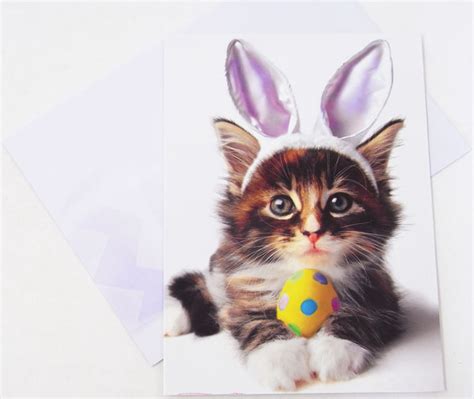 Kaderia Rakuten Global Market Avanti Easter Cards L Bunny Cat Cat