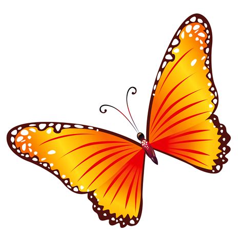 Butterfly Transparent Transparent Orange Butterfly Clipart Gallery