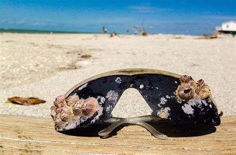 23 Strange And Rare Items People Found On The Beach 23 Pics