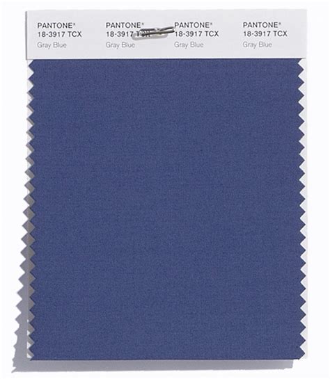 Pantone Smart Color Swatch Card 18 3917 Tcx Gray Blue Columbia Omni