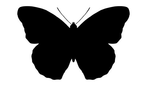 Small Butterfly Silhouette At Getdrawings Free Download