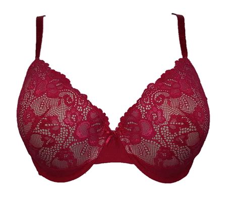 New Maidenform Push Up Lace Bra Style Number P0667 36c Burgundy