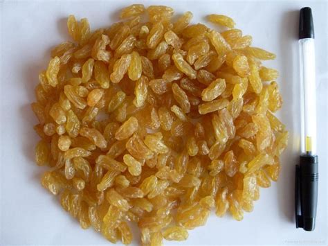 sell jumbo golden raisin - GR-J - Golden raisin, Jumbo golden raisin (China Manufacturer) - Nuts ...