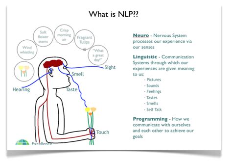 What Is Nlp Neuro Linguistic Programming Nlp