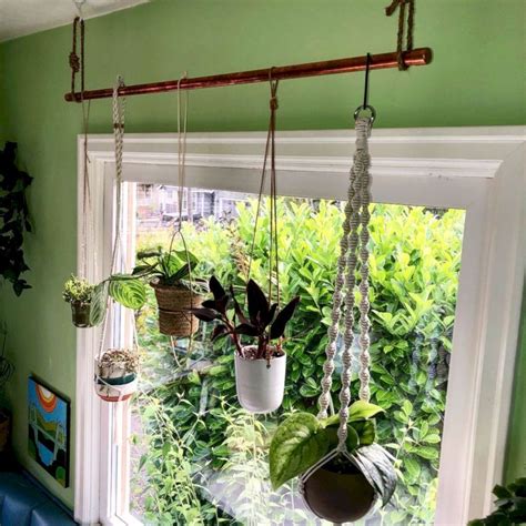 Hanging Plants From Ceiling Ideas Axis Decoration Ideas