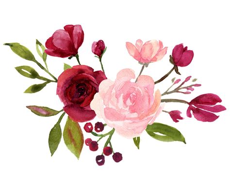 Blush And Burgundy Flowers Watercolor Clipart Collection Etsy