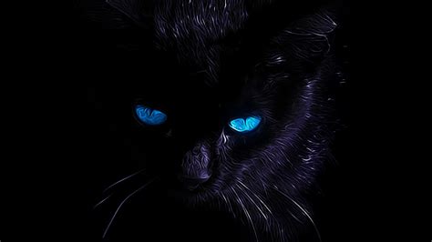 Black Cat Wallpaper Hd Blue Eyes Awesome Wallpaper Cat