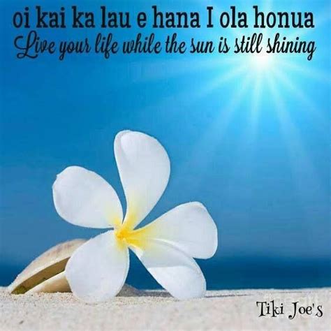 Hawaiian Quotes About Happiness Shortquotes Cc