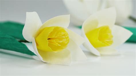 Diy Paper Flowers White Yellow Crepe Paper Flower Easy