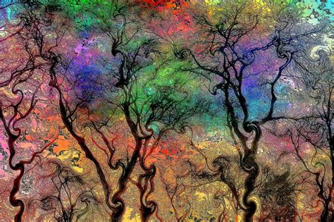 Mystical Nature Nature Art Psychadelic Art Tree Art