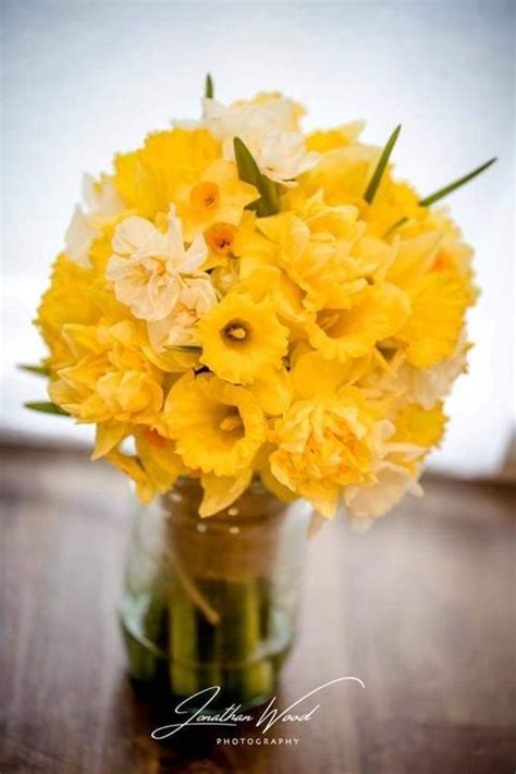 Daffodil Wedding Flowers — Petal Power