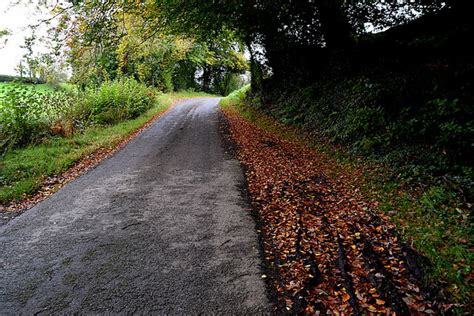 Fallen Leaves Along Cavanacaw Road © Kenneth Allen Geograph Ireland