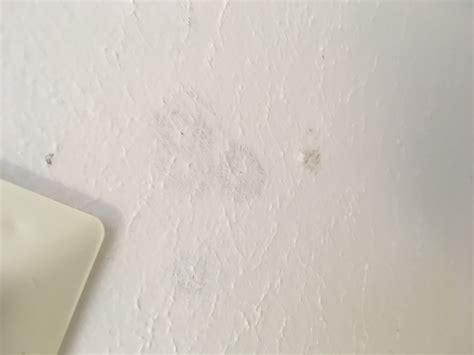 Remember, mold can develop anywhere in a damp or humid if you live in an area with high humidity or moisture, run your air conditioner and ceiling fans regularly. Is this mold on my bathroom ceiling? - Home Improvement ...