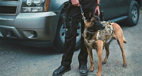 Mission Driven Tactical K9 Gear For Police Military Sar And