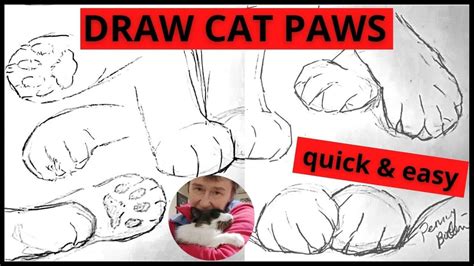Steps To Draw A Cat Paw