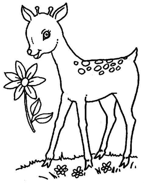 Baby deer can take their first steps in the first hour after they are born. Coloriage chevreuil à imprimer pour les enfants - CP07501