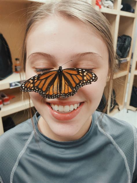 Butterfly Face Pic Inspo Butterfly Face Beautiful Butterflies Butterfly