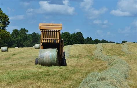 Hay Producing Areas Report Below Average Season Agrilife Today