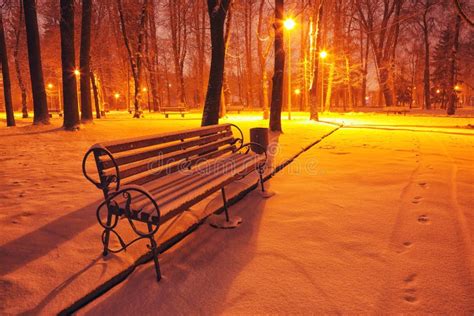 Winter Park With Benches Covered With Snow In The Evening Stock Image