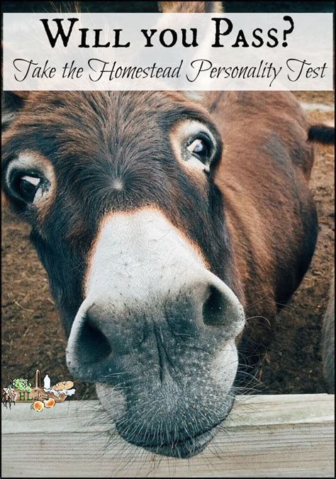 Your friends may not know what to say or do. How does your personality effect your homestead? | Beautiful