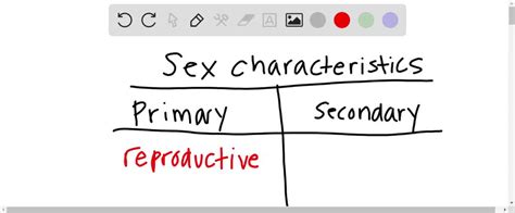 Solvedprimary Sex Characteristics Relate To Secondary Sex