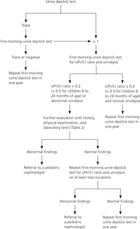 Proteinuria In Children Evaluation And Differential Diagnosis Aafp