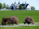 Manchester farm, along the bluegrass driving tour route | Kentucky ...