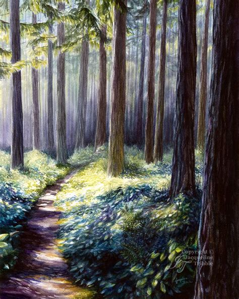 Serene Watercolor Painting Of A Pacific Northwest Forest