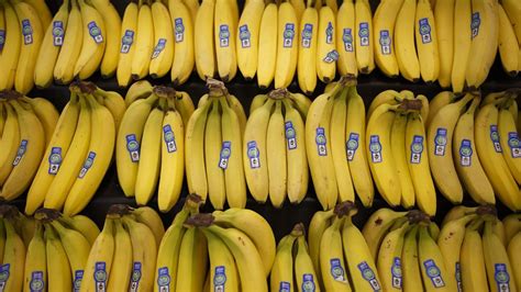 Worlds Top Banana Could Go Extinct Daily Telegraph