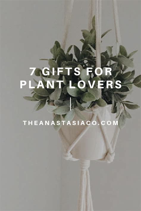 Apparently, watering cans are a good gift for plant lovers—especially when they're as chic as this one. 7 Gift Ideas for Plant Lovers - The Anastasia Co | Plant ...