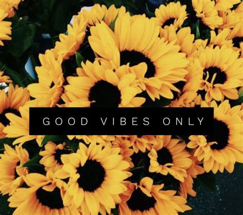 Quotes Iphone Aesthetic Sunflower Wallpaper Img Abigail