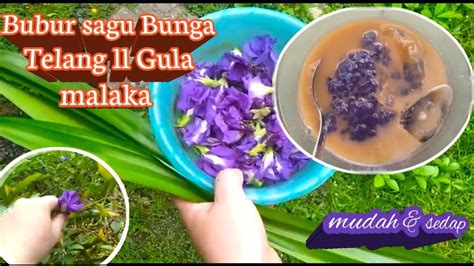 Cara masak sayur asem sunda: Cara masak bubur sagu gula melaka ll Bunga telang - YouTube