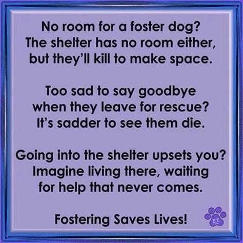 Fostering Saves Lives The Fosters Foster Dog Rescue Dog Quotes