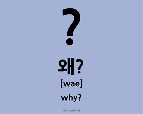 Korean words for no include 아니, 없는, 부정, 거절, 아무 것도 없는, 조금도 없는, 반대 투표자, 반대 투표, 부인 and 아니라는 말. How to say "why" in Korean - Wae (왜)? - Kimchi Cloud