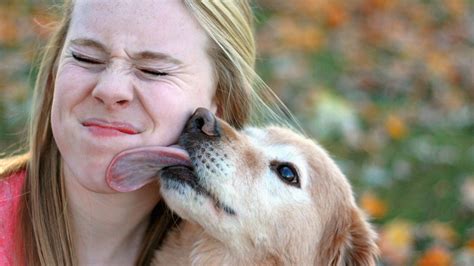 waarom likt een hond je