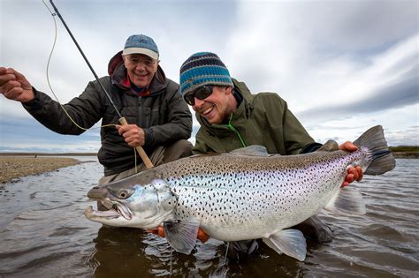 Argentina Sea Trout Fishing Rio Grande Best Of Whats Left In 2020