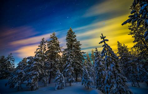 Wallpaper Winter Forest Snow Trees Northern Lights Finland