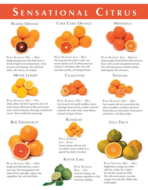 Types Of Citrus Fruits List