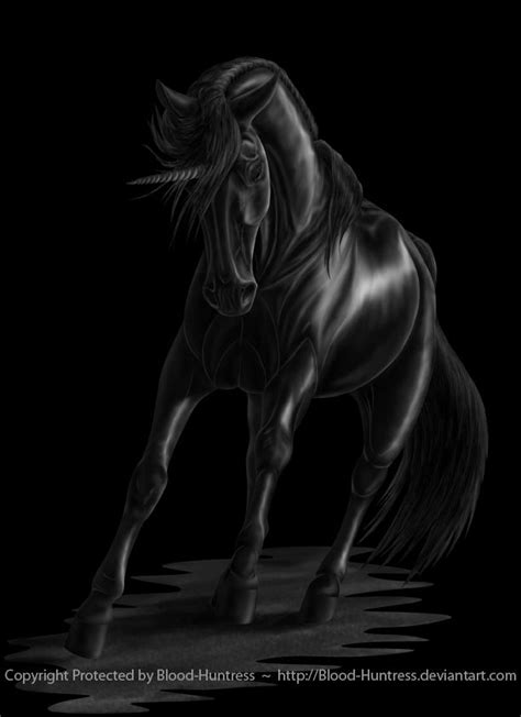 The Rare Black Unicorn 2012 07 Black Unicorn Unicorn Artwork
