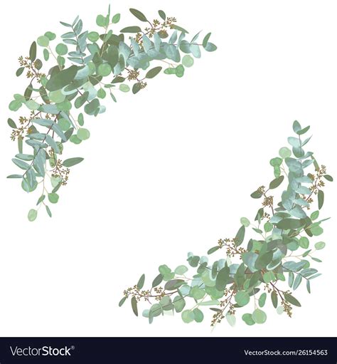 Set Wedding Bouquets Elegant Floral Greenery Vector Image