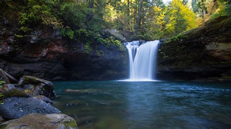 Nature Waterfall Landscape Water Trees Wallpapers Hd