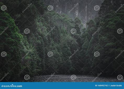 Beautiful Tasmanian Forest Mountain Landscape Stock Photo Image Of