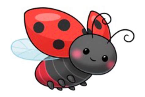 Ladybug Clip Art Cute Drawings Ladybug