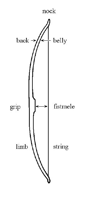 Anatomy Of The Bow Download Scientific Diagram