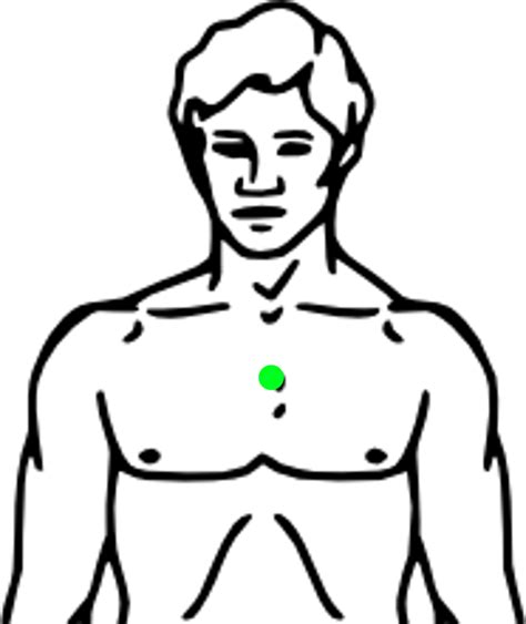 Body Chest Clipart Free Download Clipart Library